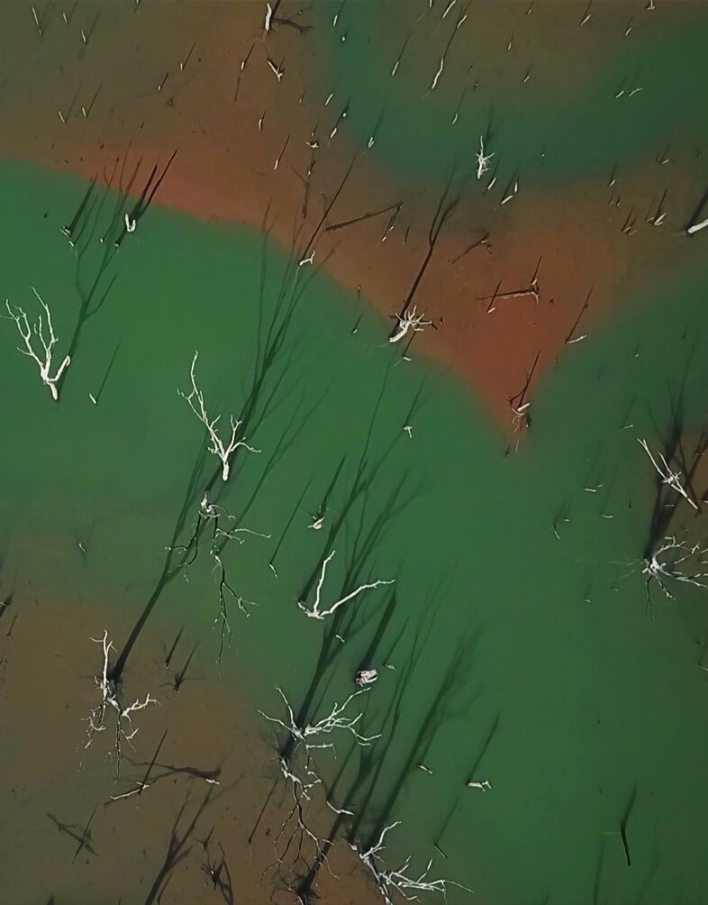 Photo par drone d'arbres morts dans un lit de rivière en Nouvelle-Calédonie