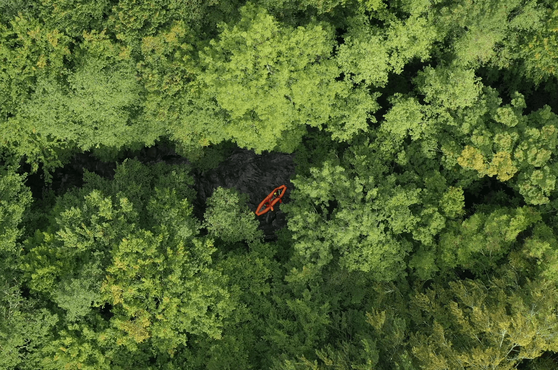 Image prise par drone d'un hotdog sur la rivière Chalaux au milieu des arbres