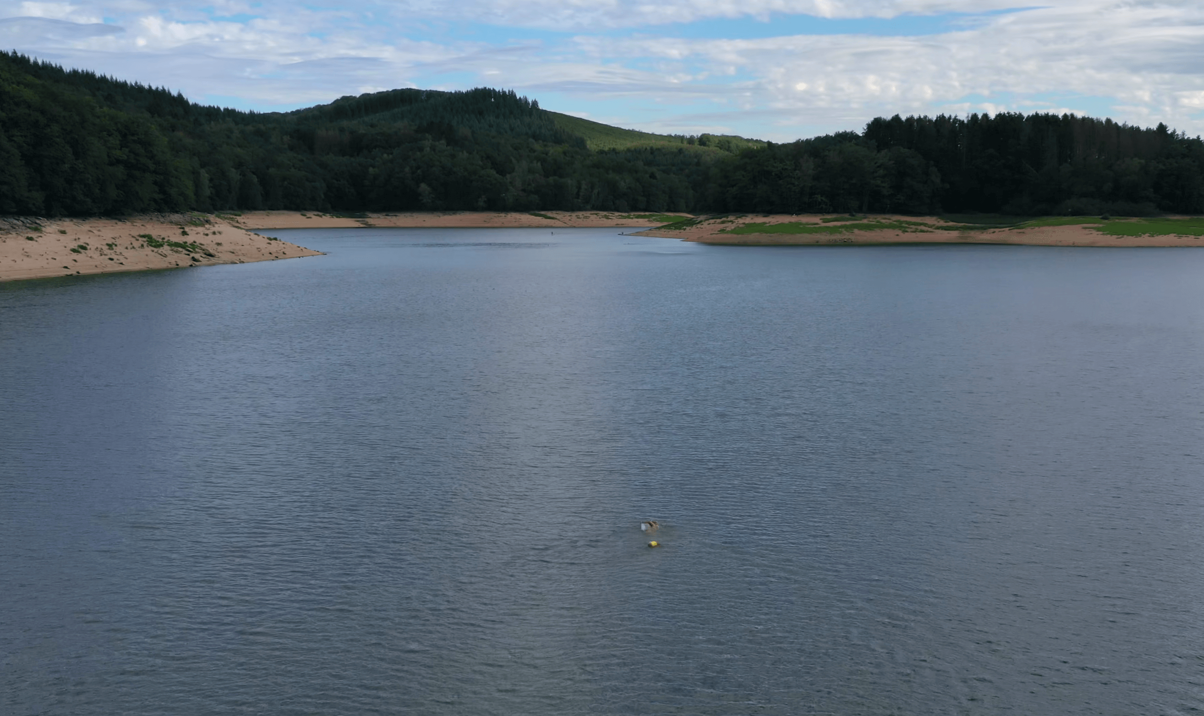 Image d'une rivière photographiée à partir d'un drone